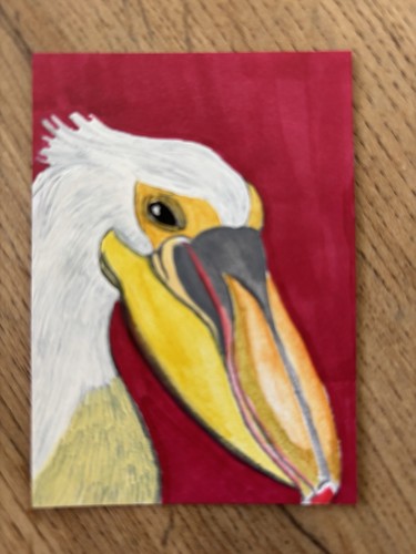 Original aceo pelican - aceo,