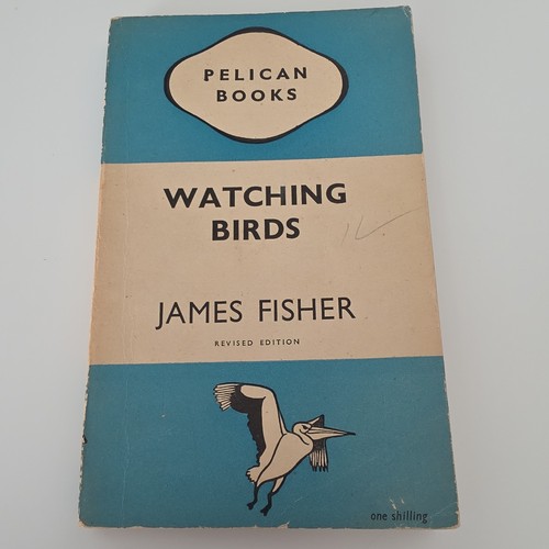 Pelican books watching - books, birds