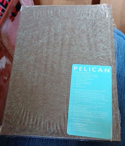 Pelican after the ceiling - -,