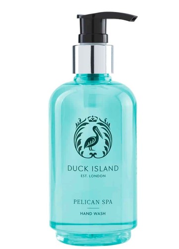Duck island pelican - island, hand