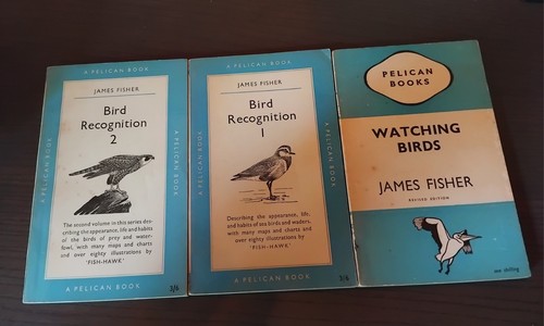 Pelican paperbacks inc bird - paperbacks,
