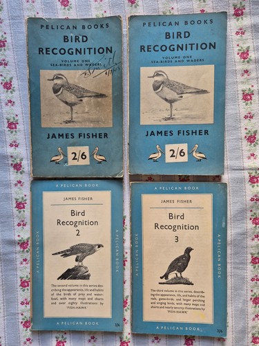 Bird recognition series vols - bird,