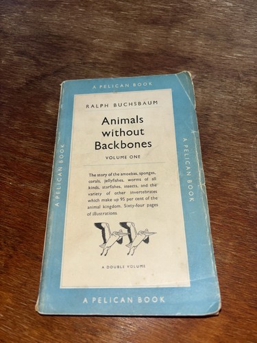 Vintage 1951 animals - "animals, without