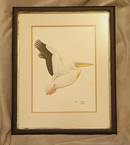 Jim wallace signed - jim,