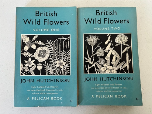 British wild flowers - british,